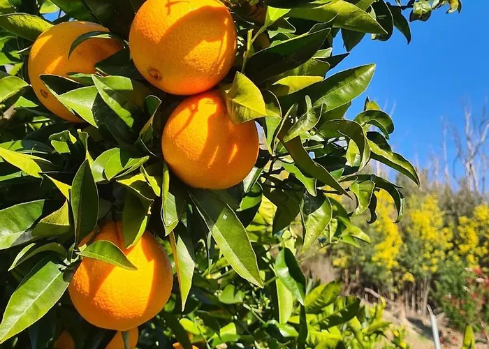 Villa Quinta Da Madrugada Oliveira do Hospital